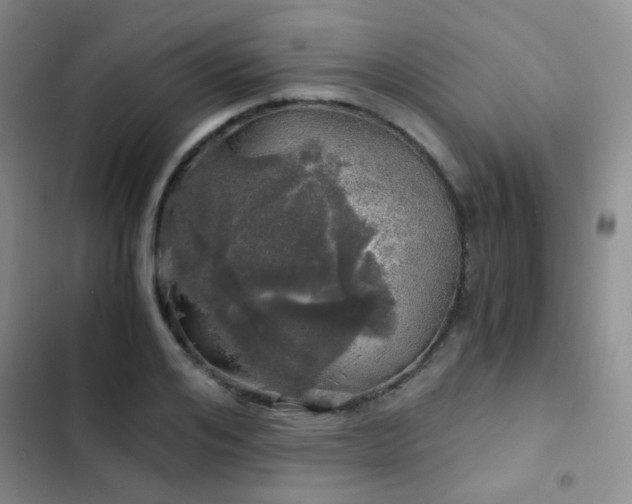 X0000103220984200808281403