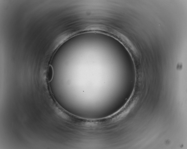 X0000103220985200808281403