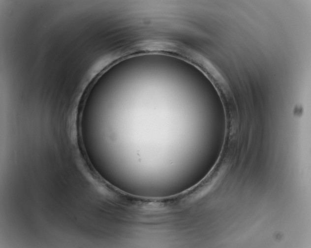 X0000103220986200808281403