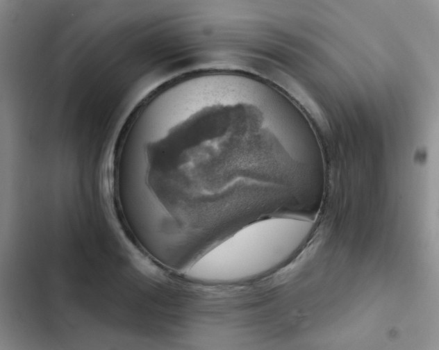 X0000103220988200808281403