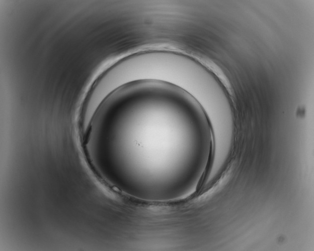 X0000103220989200808281403