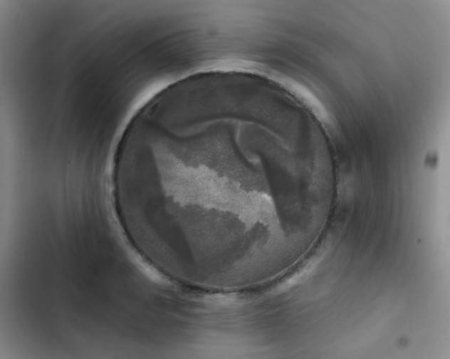 X0000103220990200808281403