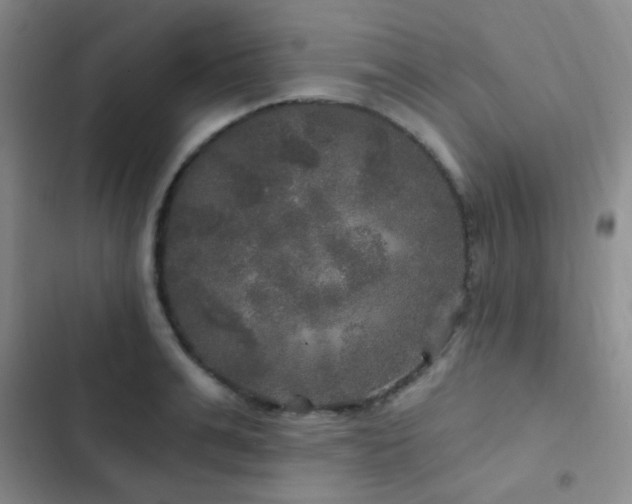X0000103220991200808281403