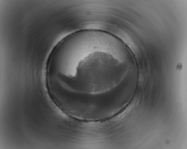 X0000103220992200808281403