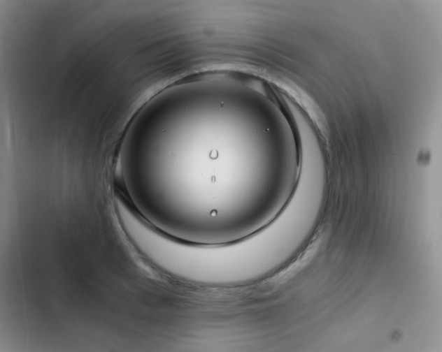 X0000103220993200808281403