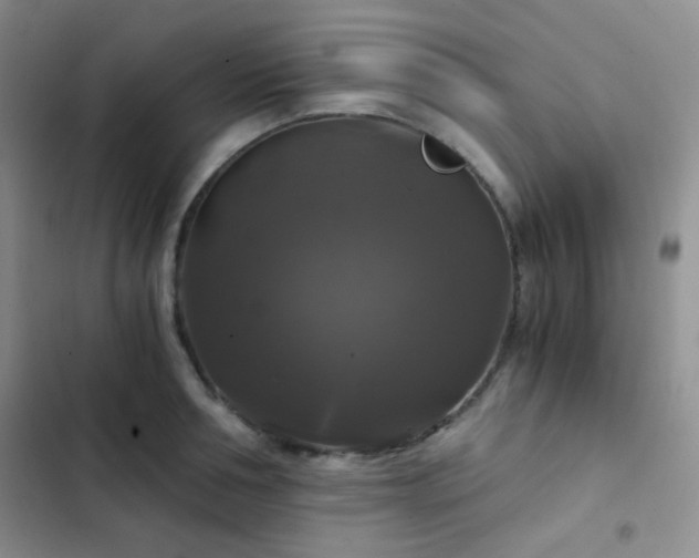 X0000103220994200808281403
