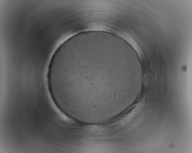 X0000103220995200808281403