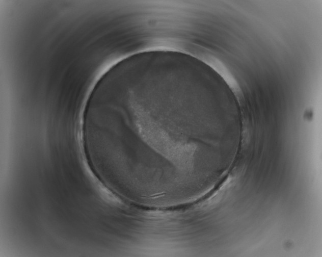 X0000103220996200808281403