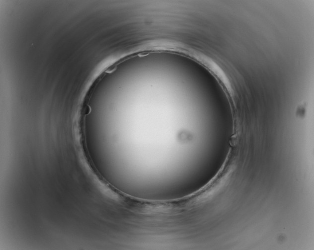 X0000103220997200808281403