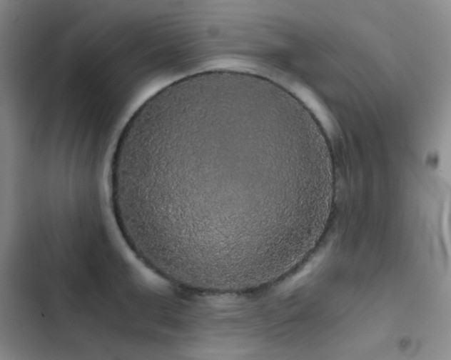 X0000103220999200808281403