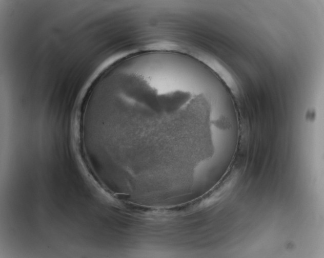 X0000103221000200808281403