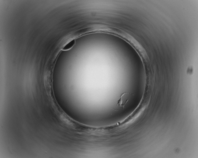 X0000103221001200808281403