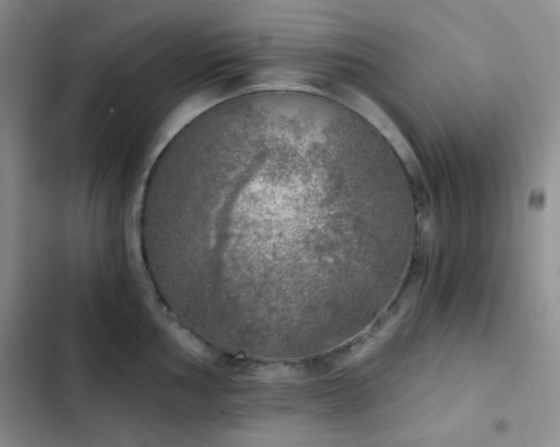 X0000103221002200808281403