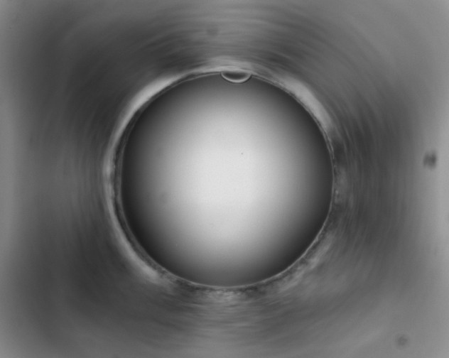 X0000103221003200808281403