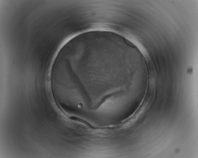 X0000103221004200808281403