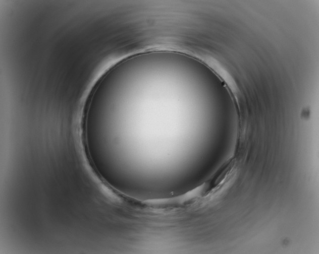 X0000103221005200808281403