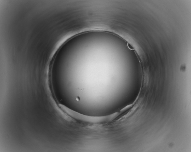 X0000103221006200808281403