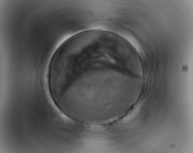 X0000103221007200808281403