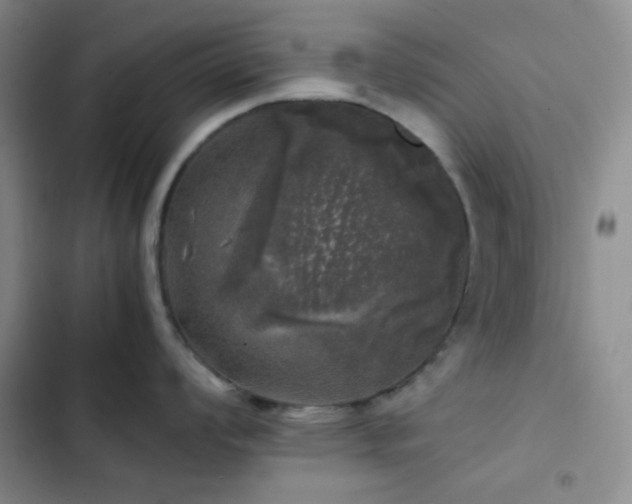 X0000103221008200808281403