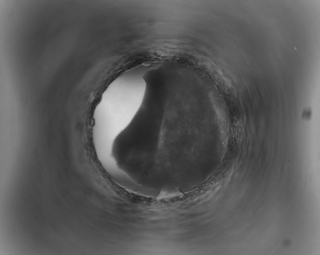 X0000103221009200808281402