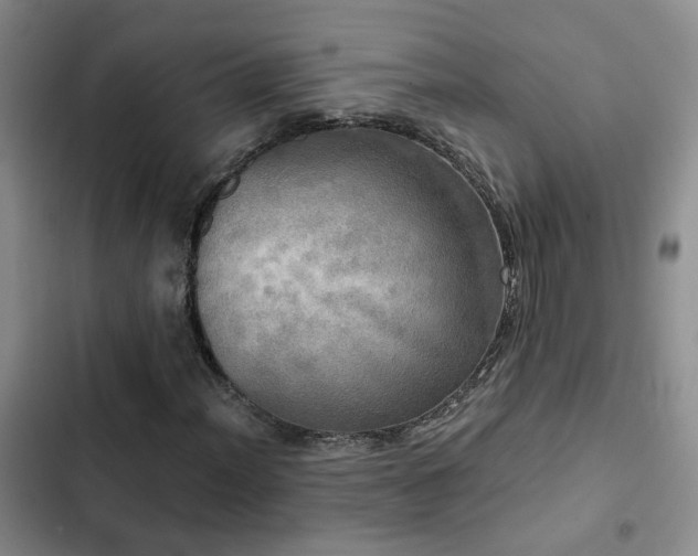 X0000103221012200808281402