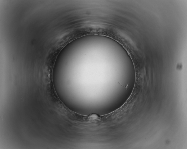 X0000103221013200808281402