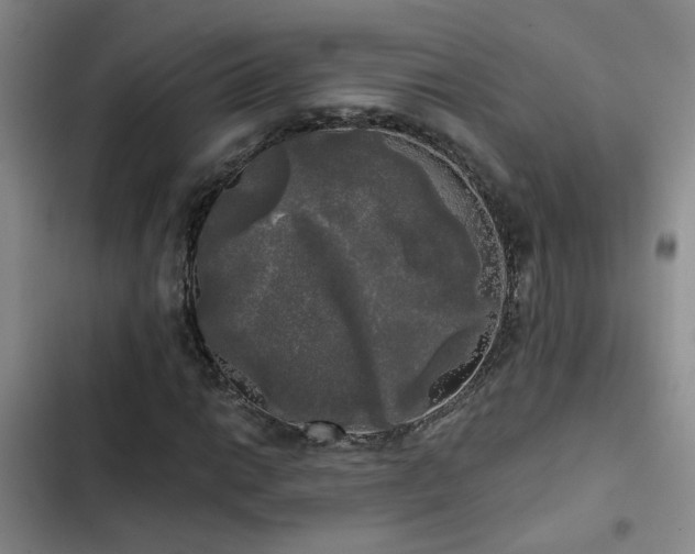 X0000103221014200808281402