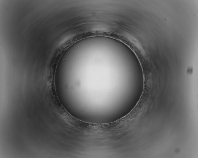 X0000103221015200808281402