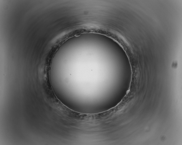 X0000103221016200808281402
