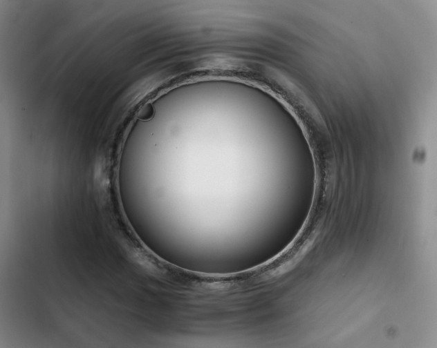 X0000103221017200808281402