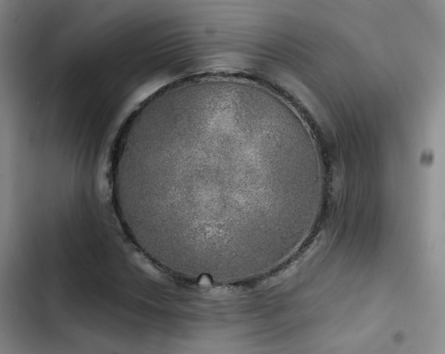 X0000103221018200808281402