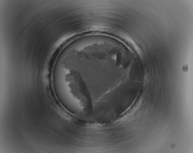 X0000103221019200808281402