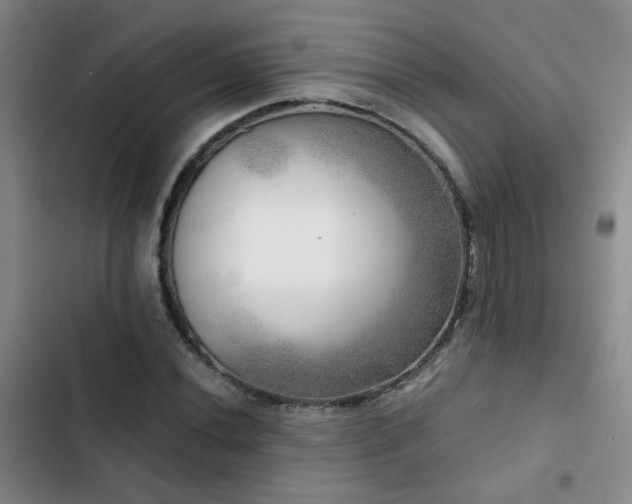 X0000103221020200808281402