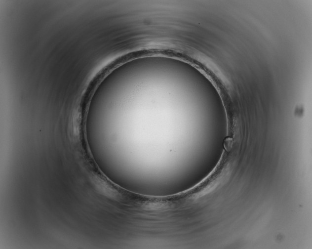 X0000103221021200808281402