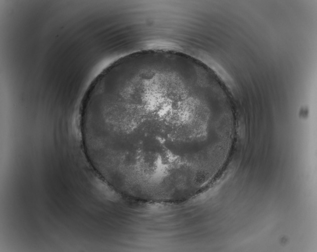 X0000103221022200808281402