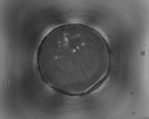 X0000103221023200808281402
