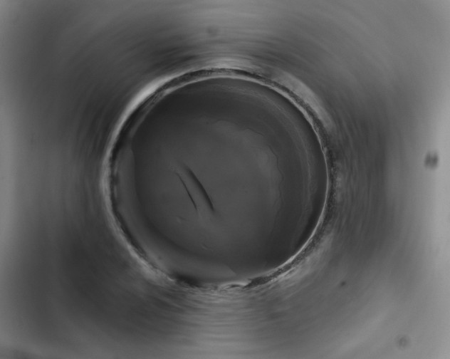 X0000103221024200808281402