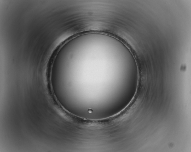 X0000103221026200808281403