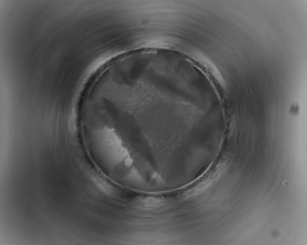 X0000103221027200808281403