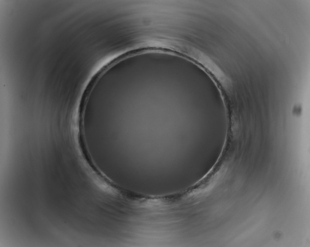X0000103221028200808281403