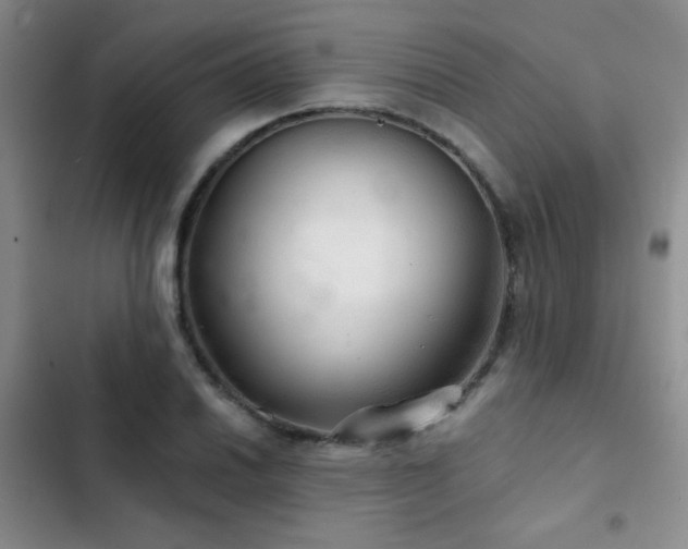 X0000103221030200808281403