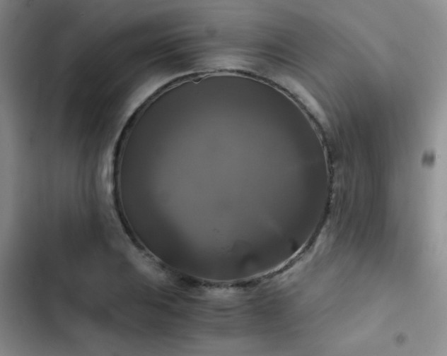 X0000103221031200808281403