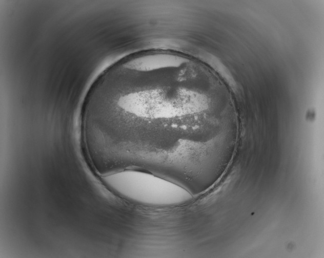 X0000103221032200808281403