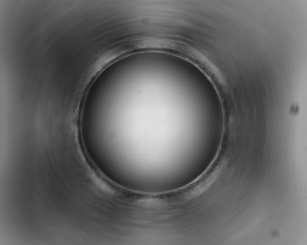 X0000103221033200808281403