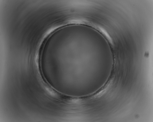 X0000103221035200808281403
