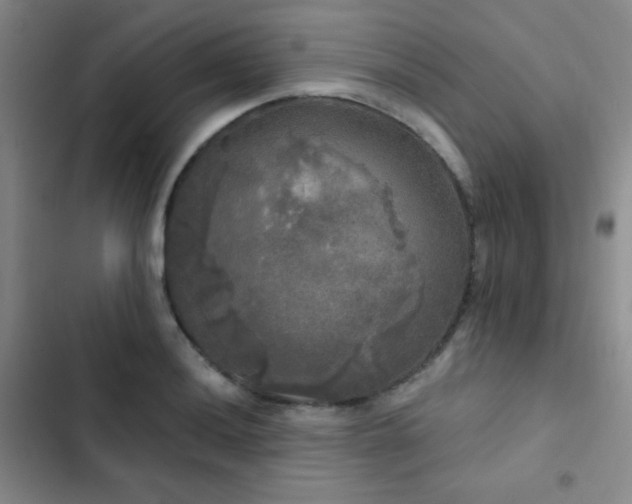 X0000103221036200808281403