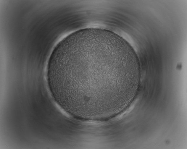 X0000103221037200808281403