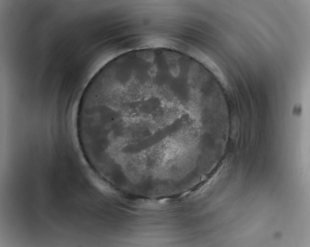 X0000103221039200808281403
