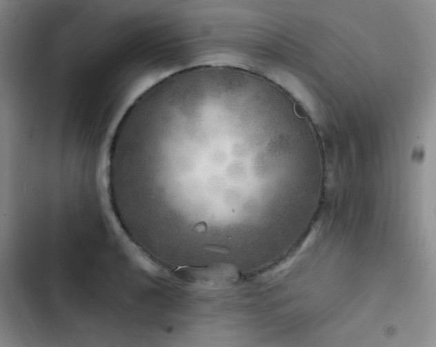 X0000103221040200808281403