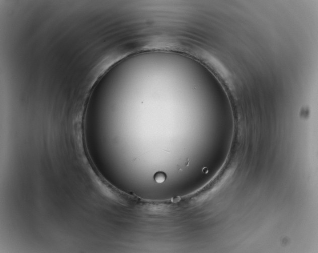 X0000103221041200808281403